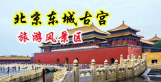 强奸好爽网站中国北京-东城古宫旅游风景区